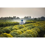 Locsoló fej, sugárcső, tömlő, szórópisztoly, kanna